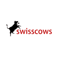 proxy-suchmaschine-swisscows-logo-png