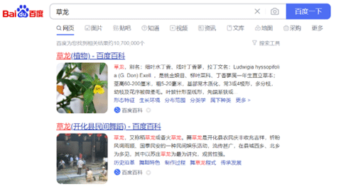 Baidu Suchergebnisse für cǎo lóng
