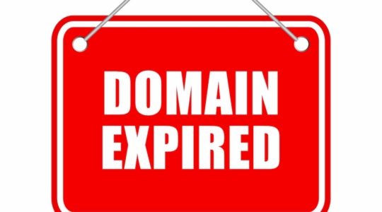 domain expired für links