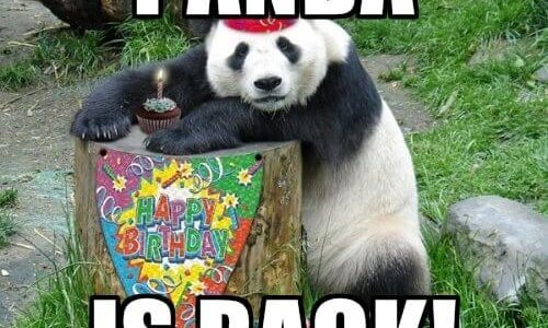 Panda is back meme